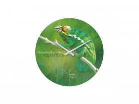 Часы настенные Nicole Time NT503 в Куйбышеве - kujbyshev.mebel-nsk.ru | фото